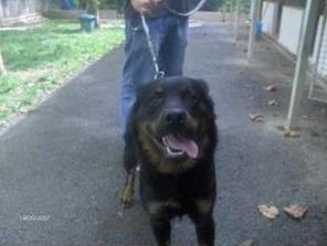 Cliquer pour Agrandir